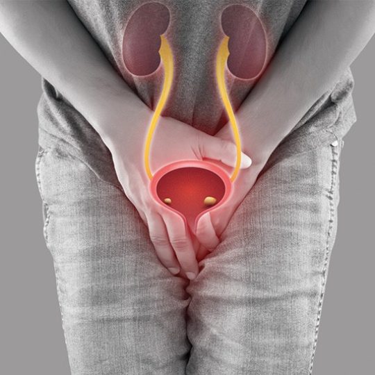 65648744be0d7Urology-(Adult)---Expertise-Urinary-Stones_1