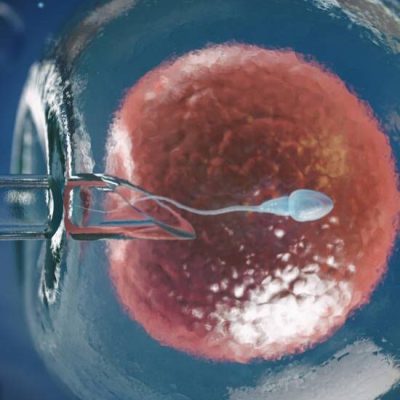 Artificial insemination, in vitro fertilization IVF of human egg cell or fertility treatment. 3d illustration