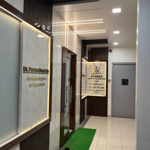 WhatsApp Image 2025-11-30 at 7.06.34 PM (2)